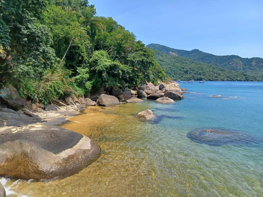 Snorkeling with turtles in their natural habitat - Gear, drinks, and the small conveniences you feel right away