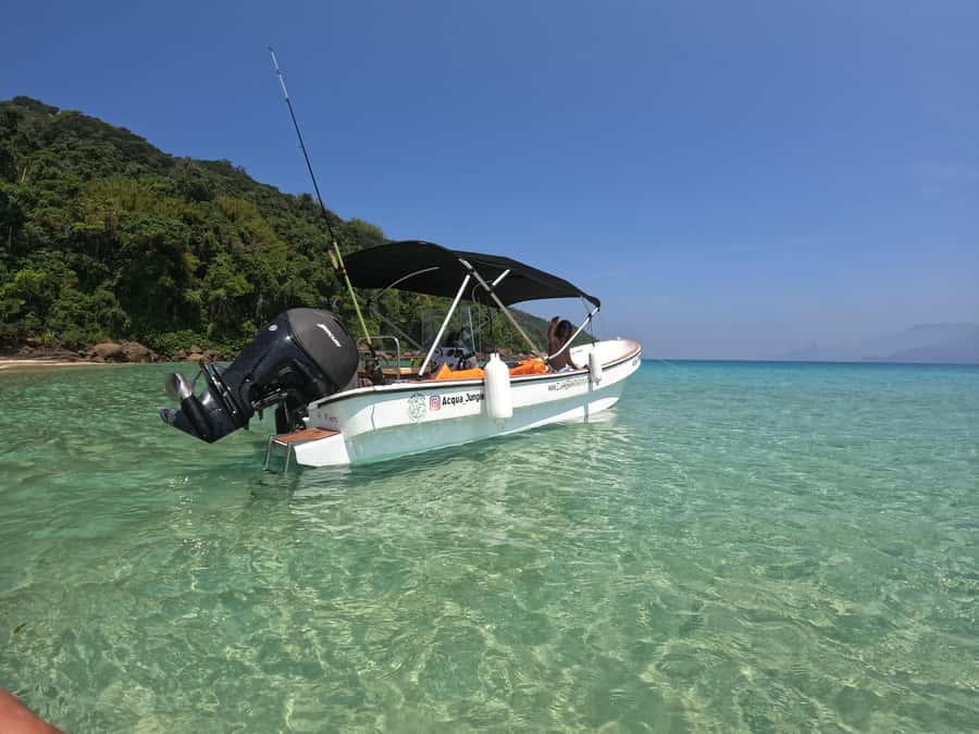 Snorkeling with turtles in their natural habitat - Price and value: what $602 per group up to 4 really buys