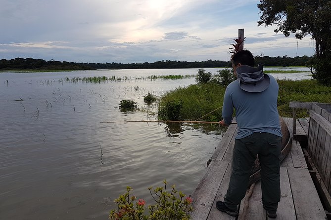 Solimoes River Piranha Fishing and Alligator Watching Tour - When it turns dark: alligator spotting and the photo moment