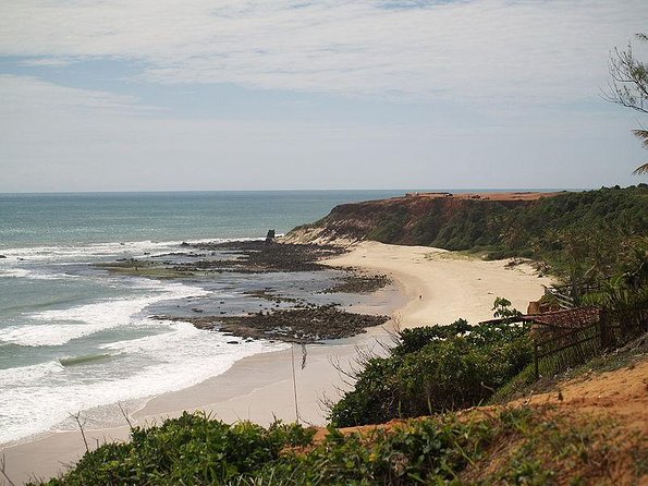 Sun and Fun at Pipa Beach: Day Tour from Natal - Key Highlights Worth Your Time