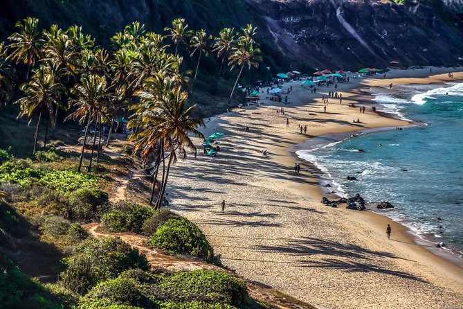 Sun and Fun at Pipa Beach: Day Tour from Natal - Madeiro Beach: Swim Time, Steps to Sand, and Kite Surf Watching