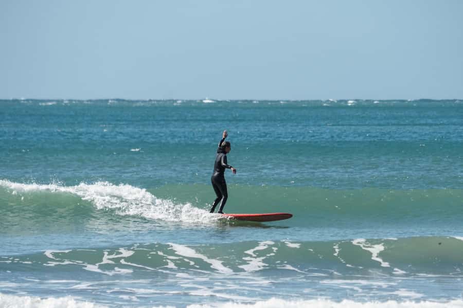Surfing Lesson with Sea Wolf - Key highlights you will care about