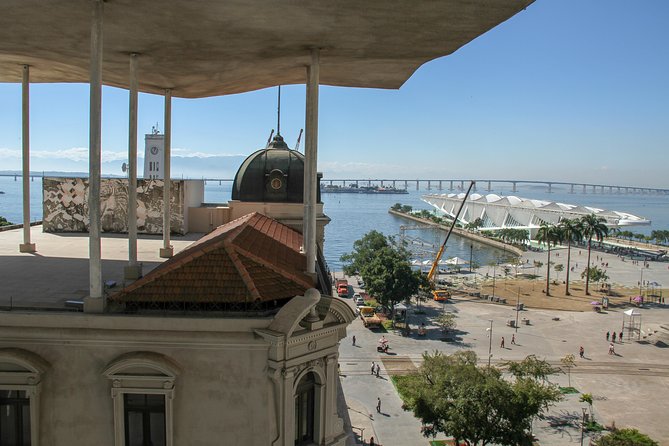 The Best of Rio de Janeiro in a Private Guided Tour - Botanical Garden and Museu de Arte Moderna: art breaks from the heat