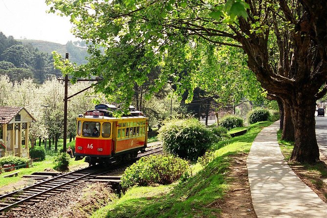 The Brazilian Switzerland - Day Trip on Campos do Jordão from São Paulo - Getting to the start: meeting point, pickup range, and comfort