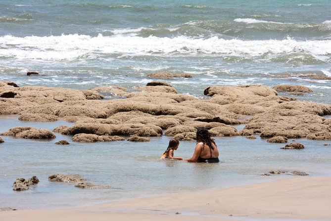 The colorful sands of Morro Branco beach - Full Day Tour - Should You Book This Morro Branco Full-Day Tour?