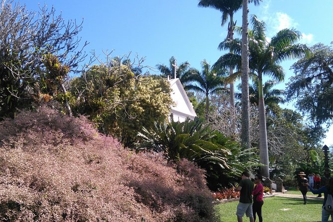 The landscaper Burle Marx and its site - cultural heritage - Meeting at 8:00 am and how the day is paced