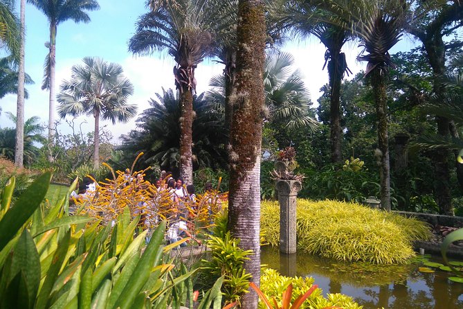 The landscaper Burle Marx and its site - cultural heritage - Sitio Roberto Burle Marx: plants, art objects, and that UNESCO-level design brain