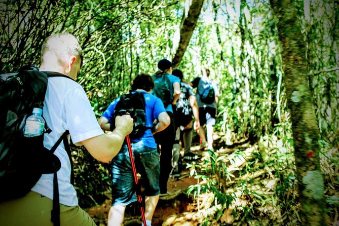Tijuca Forest Challenge Full-Day Hike (Small-Group or Private) - Why this Tijuca Forest hike feels different from a typical Rio day