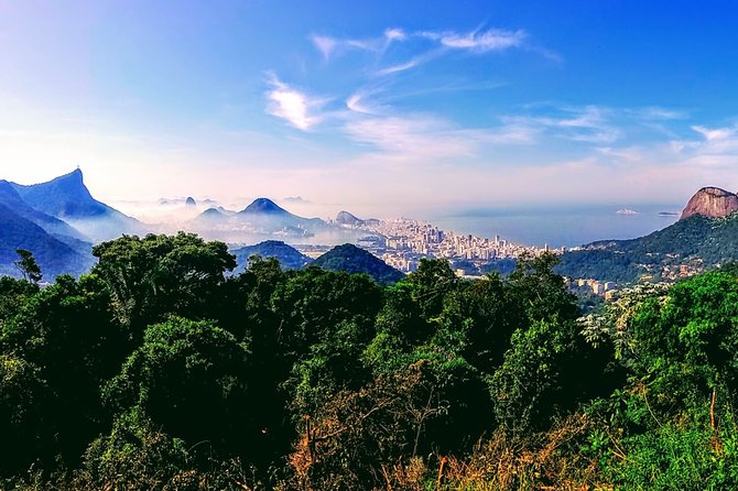 Tijuca Forest Challenge Full-Day Hike (Small-Group or Private) - The hike difficulty: what hard really means (and how to prepare)
