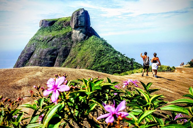 Tijuca Forest Half-Day Hike (Small Group or Private) - Getting picked up in South Rio and learning the park basics first
