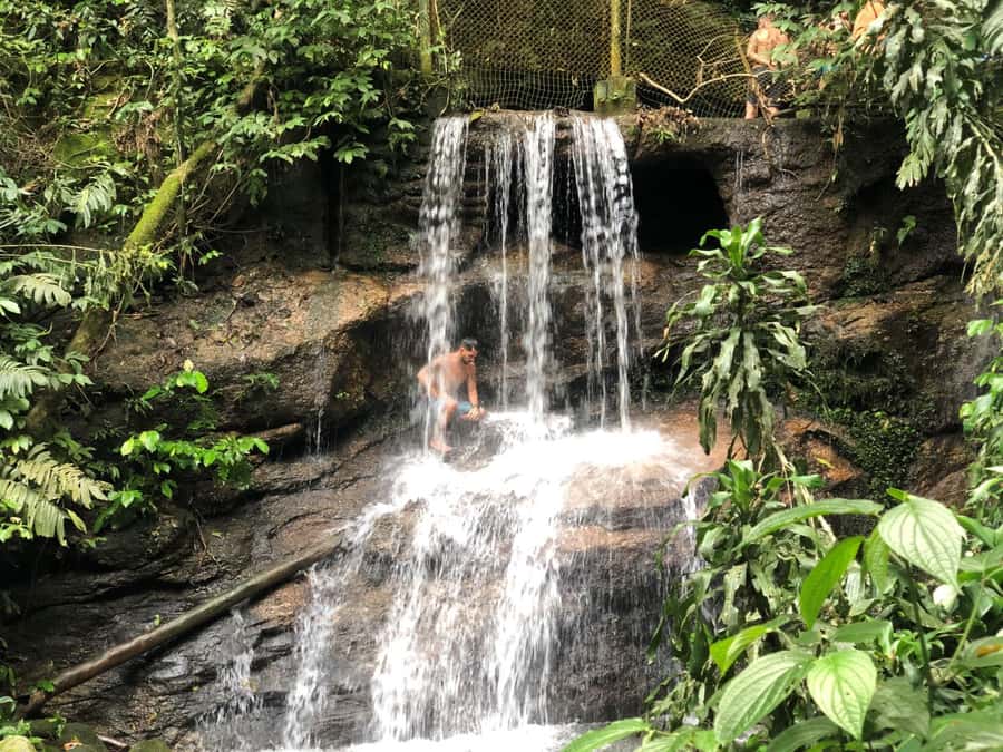 Tijuca Forest´s hike: caves, waterfalls and great views - Key highlights worth your attention