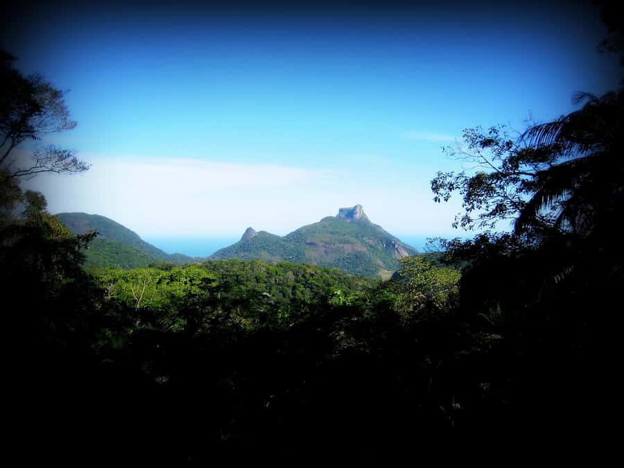 Tijuca Forest´s hike: caves, waterfalls and great views - Water, views, and the rainforest feel you came for