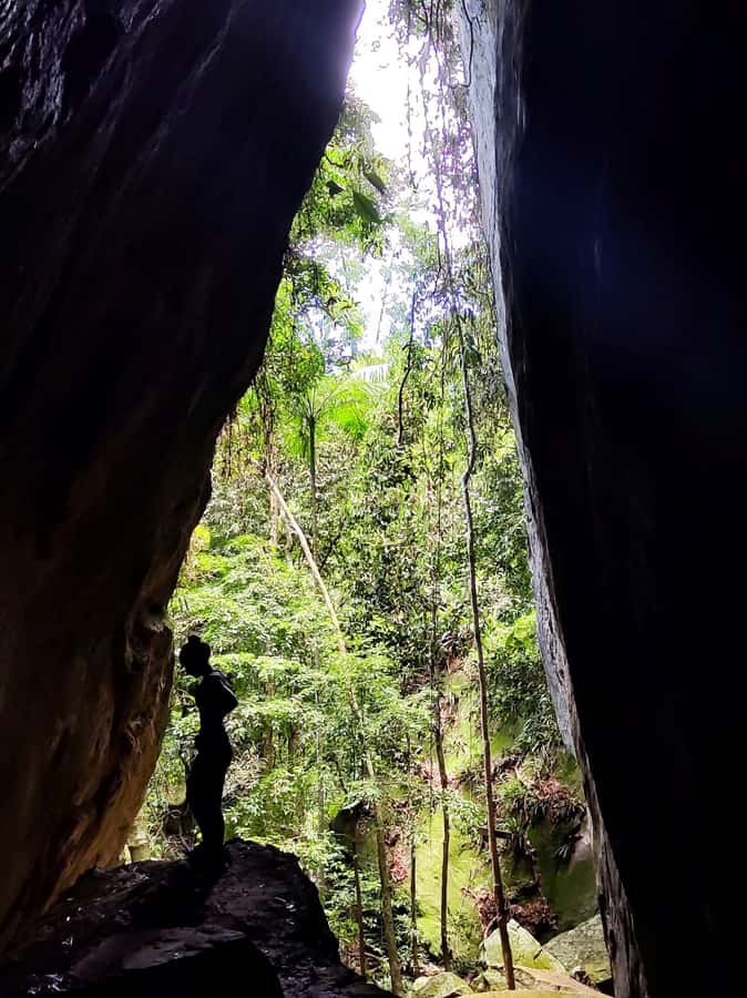 Tijuca Forest´s hike: caves, waterfalls and great views - Historical circuit and cave circuit, plus the named stops that break up the hike