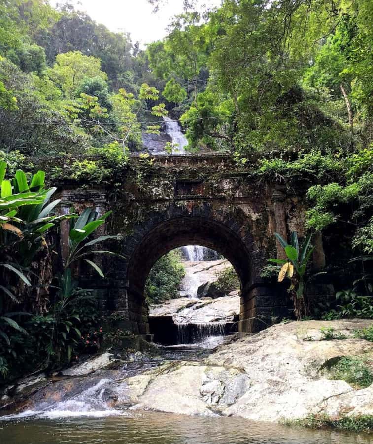 Tijuca Forest´s hike: caves, waterfalls and great views - Who will enjoy this most, and who should skip it