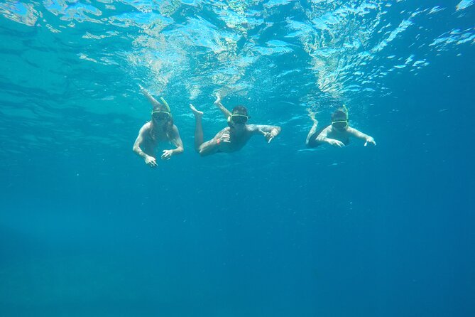 Tijuca Islands Snorkeling & Whale Watching Boat Tour from Rio - Key things to know before you go
