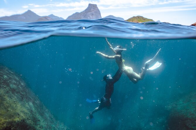 Tijuca Islands Snorkeling & Whale Watching Boat Tour from Rio - Wildlife watch that is more than a one-trick turtle hunt