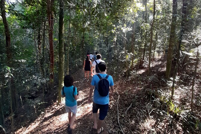 Tijuca National Park and all its wonders - Tijuca National Park, the quick green escape right inside Rio