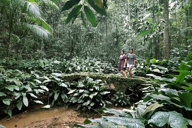 Tijuca National Park and all its wonders - Cascatinha Taunay: the 35-meter waterfall and the dip factor