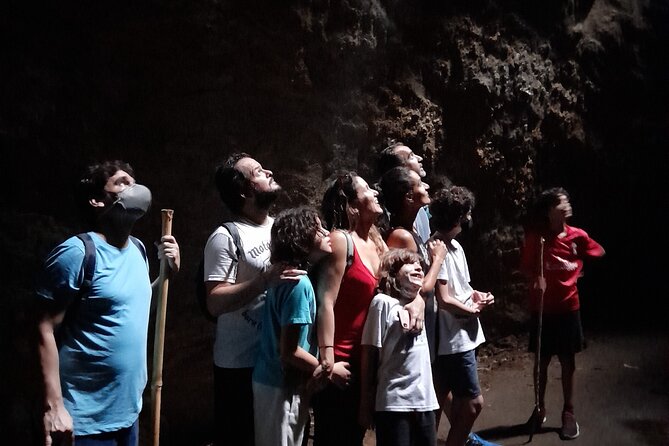 Tijuca National Park and all its wonders - Timing, meeting point, and how to set yourself up for an easy morning