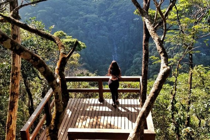 Tijuca National Park and Botanic Garden Guided Tour & Transfer - Taunay Waterfall and Mayrink Chapel: short stops, big atmosphere
