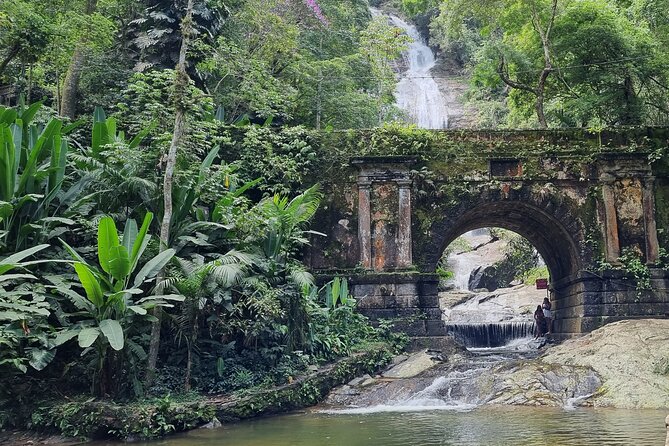 Tijuca Peak Hiking - The Highest Summit in Tijuca National Park - Why Tijuca Peak feels like a Rio highlight, not just a hike