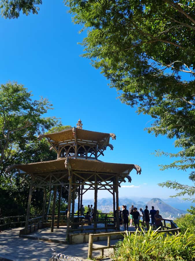Tijuca Rain Forest - Adventure through Waterfalls & Caves - Weather and Trail Conditions: What Any Conditions Really Means