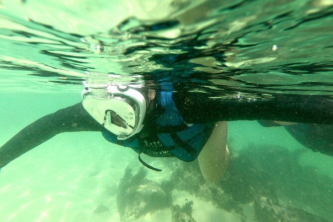 Tour to Bombinhas with Snorkeling Experiência - Why Bombinhas snorkeling feels different from a basic beach day