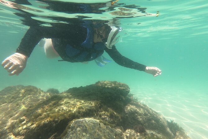 Tour to Bombinhas with Snorkeling Experiência - Price and value: what $74.55 really covers