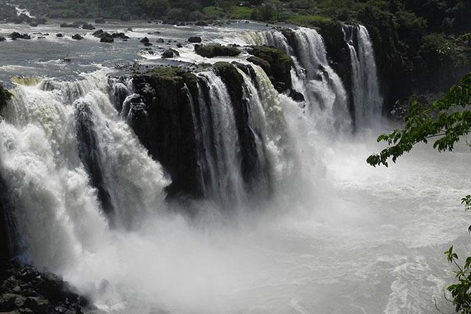 Tour to Iguassu Falls Brazilian side - Photo Angles That Actually Help: From Wide Views to Close-Up Moments