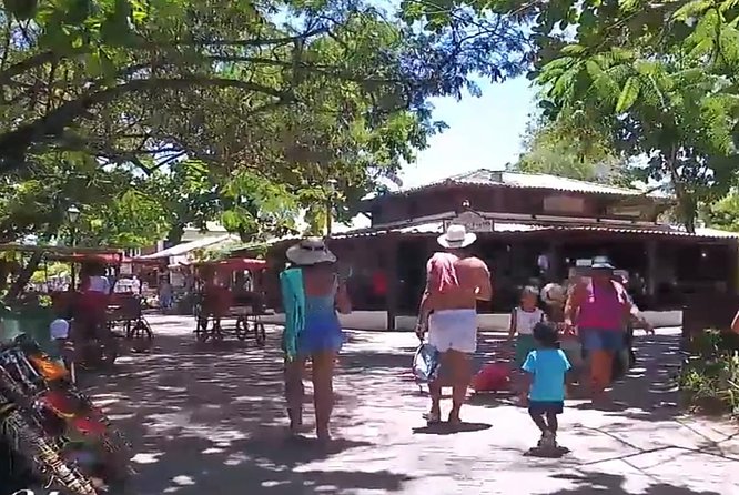 Tour to Praia do Forte and Guarajuba - The turtle site: what to expect from an included admission ticket