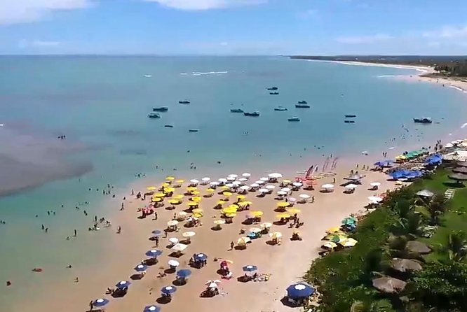 Tour to Praia do Forte and Guarajuba - Guide quality and language: English may be hit or miss