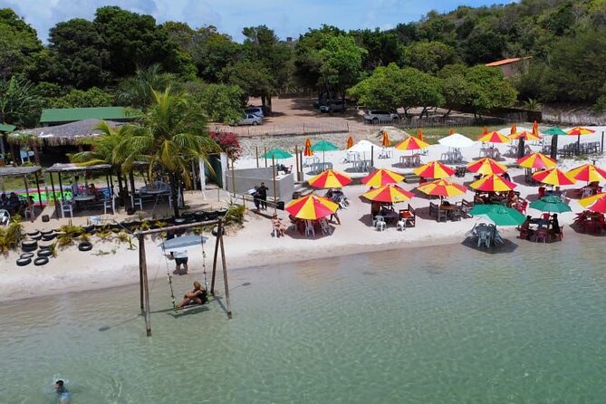 Transfer and Tour in Natal's South Coast - Key Highlights Before You Go