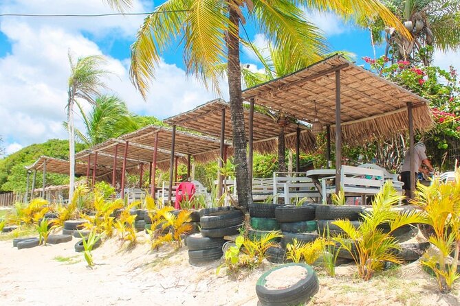 Transfer and Tour in Natal's South Coast - Return Transfer, Without the End-of-Day Panic