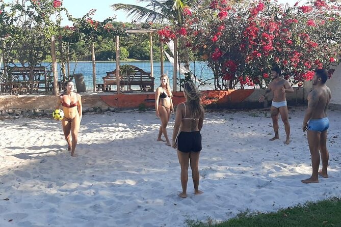 Transfer and Tour in Natal's South Coast - Price and Value: Why This Works at $18.73