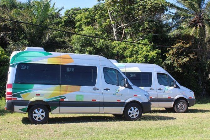 Transfer Salvador Airport / Hotel Litoral Norte - How Punctuality Usually Feels, and Why That Impacts the Whole Trip