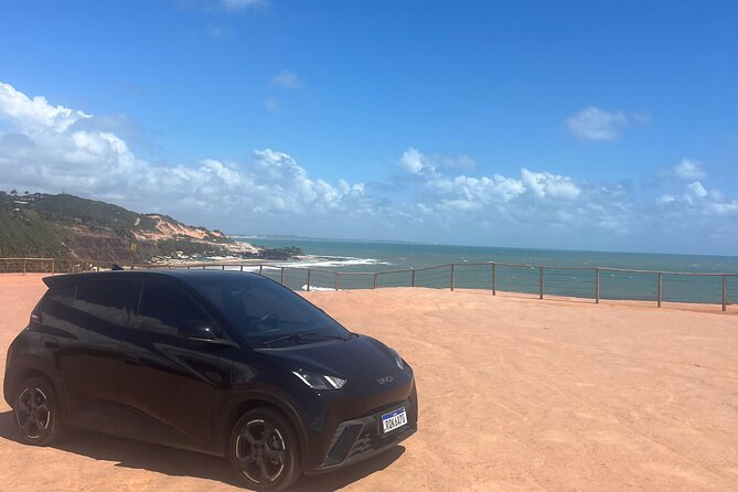 Transfers PIPA Airports in Premium Electric Cars - Reservation details and pre-trip confirmation that keep things smooth