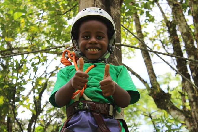 Tree climbing among the araucarias - Key things to know before you go
