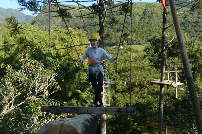 Tree climbing among the araucarias - Who This Tour Fits Best (And Who Might Want a Different Day)