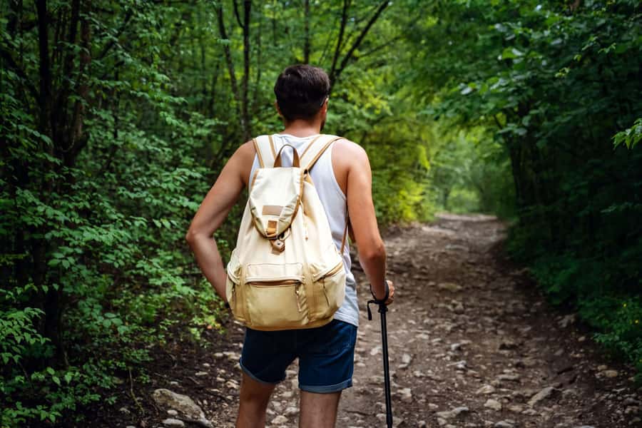 Walk to the Big Rock in Cantareira State Park - Why Cantareira’s Big Rock Works as a São Paulo Escape