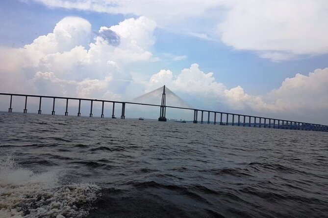 Walking Tours in Manaus - Palacio da Justiça and Avenida Eduardo Ribeiro Views