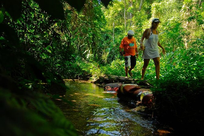 Waterfalls and Cachaça Distillery Jeep Tour - What You Actually Experience Between Paraty and the Waterfalls