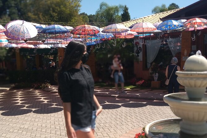 Wine Tour in São Roque by Car, Tour with Local Guides - Why a São Roque Wine Day Feels Like a Real Upgrade from São Paulo