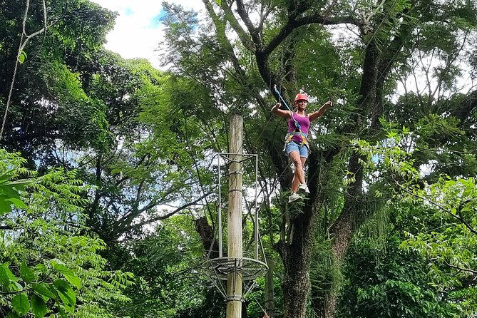 Zip Lining and Canopy Tree Tour in Rio de Janeiro - Who this tour fits best (and who should think twice)
