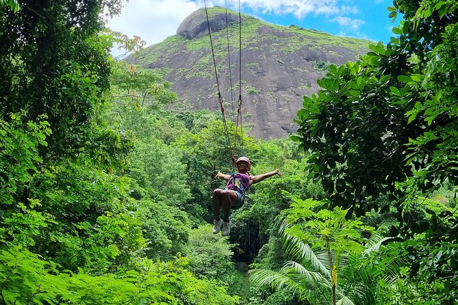 Zip Lining and Canopy Tree Tour in Rio de Janeiro - Price and what you really pay: $81.20 plus a $15 park fee